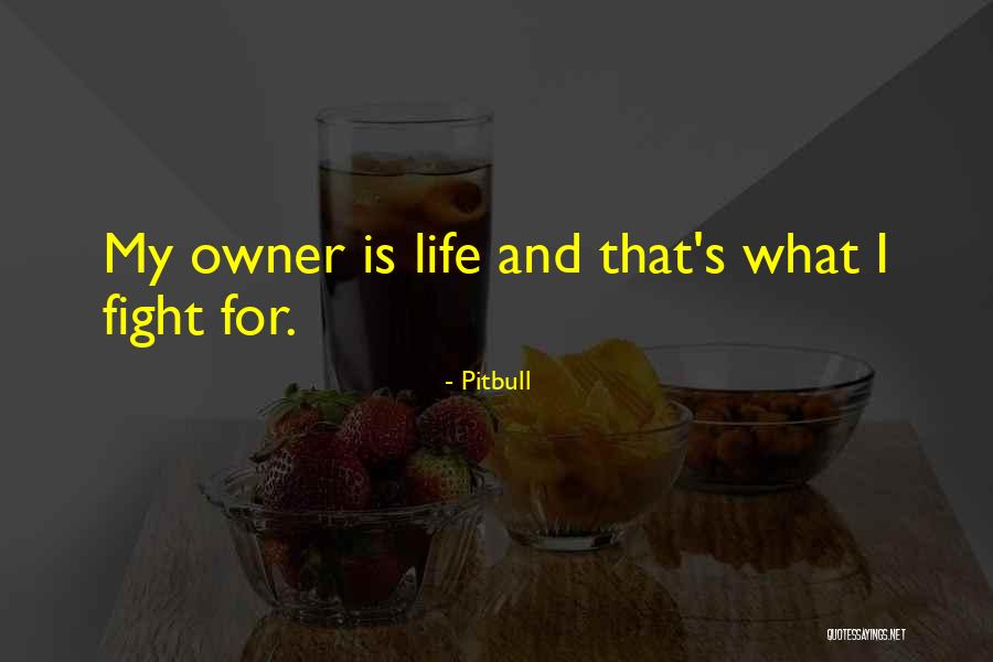 Balipa Narayana Quotes By Pitbull