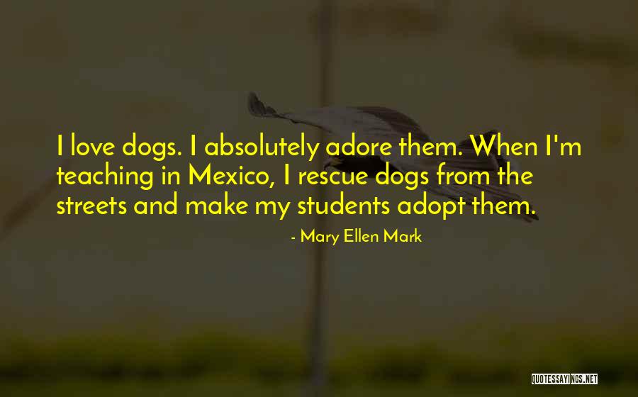 Balkanization Example Quotes By Mary Ellen Mark Balkanization Example Quotes By Mary Ellen Mark