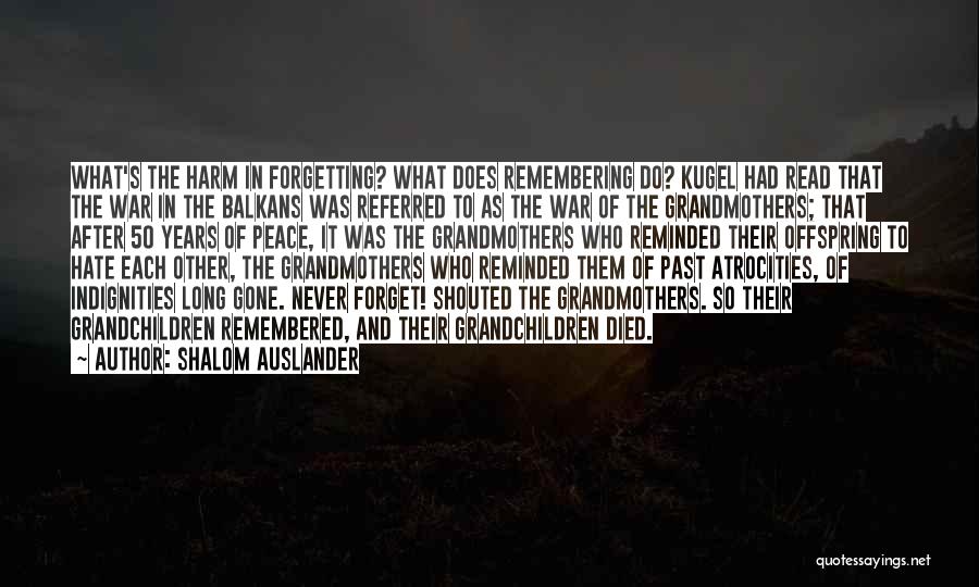 Balkans Quotes By Shalom Auslander