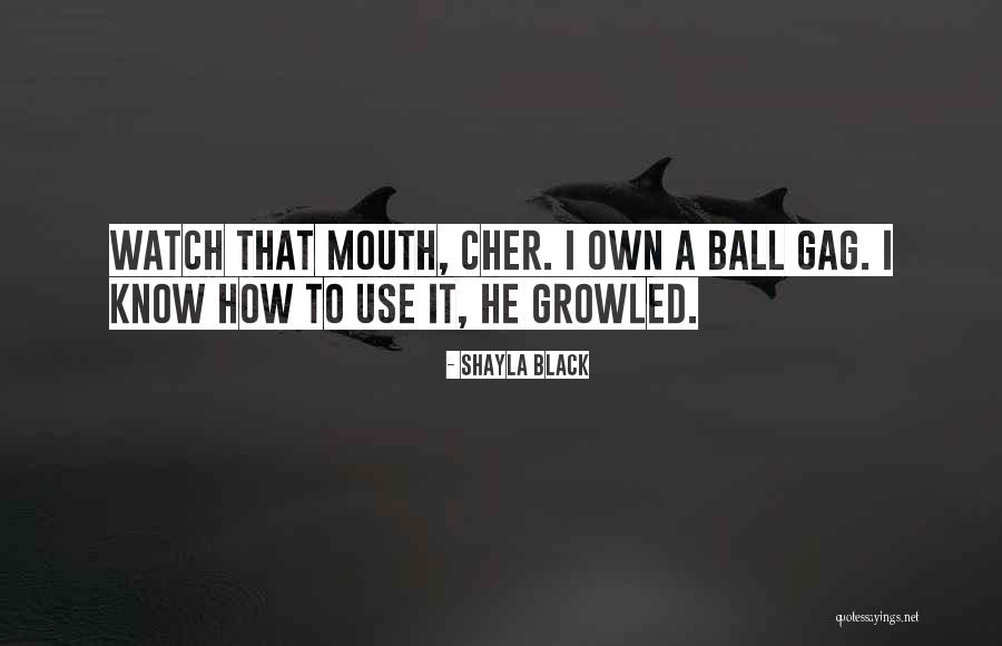Ball Gag Quotes By Shayla Black Ball Gag Quotes By Shayla Black
