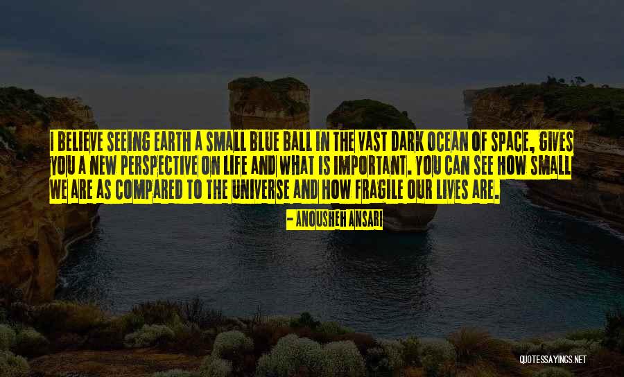 Ball Is Life Quotes By Anousheh Ansari