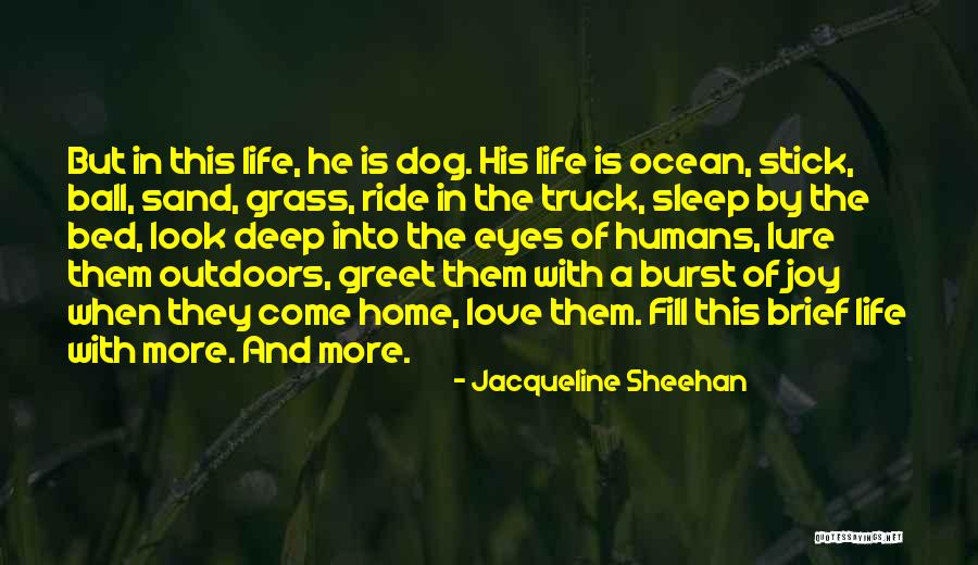 Ball Is Life Quotes By Jacqueline Sheehan