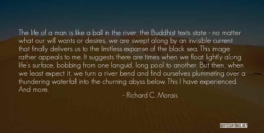 Ball Is Life Quotes By Richard C. Morais