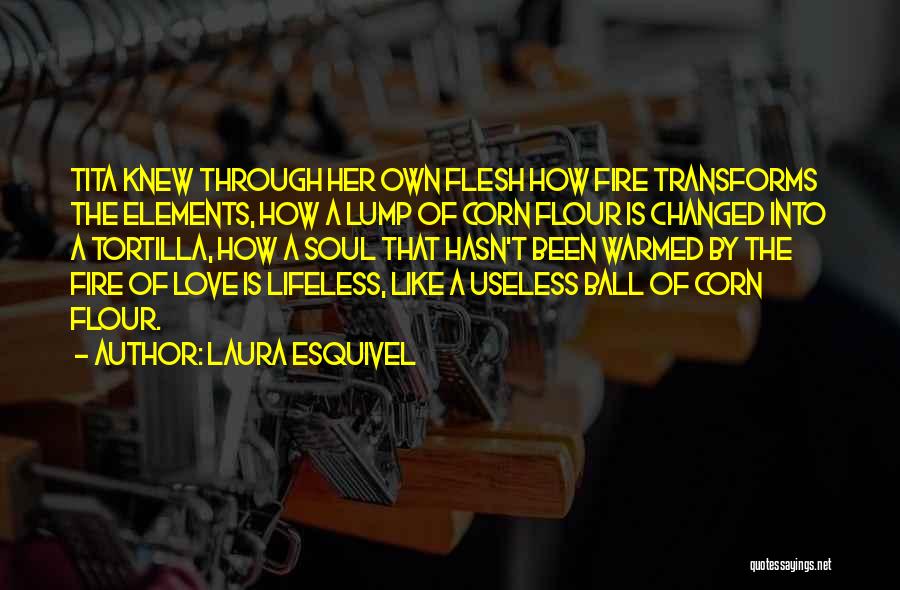 Ball Of Fire Quotes By Laura Esquivel