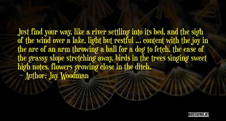 Ball Of Light Quotes By Jay Woodman