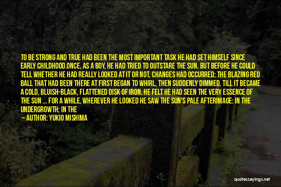 Ball Of Light Quotes By Yukio Mishima