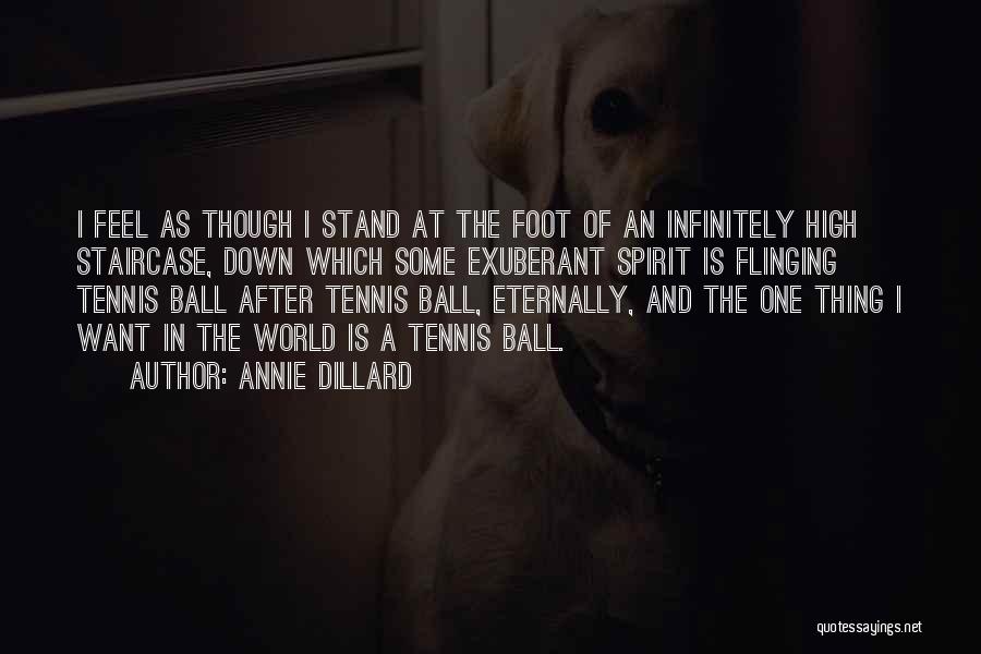 Ball Quotes By Annie Dillard