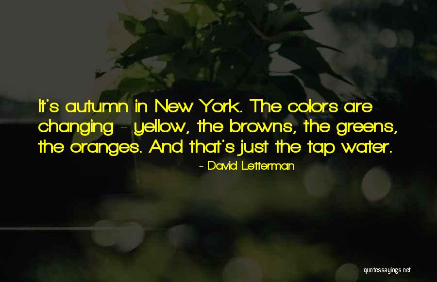Ballack Von Quotes By David Letterman Ballack Von Quotes By David Letterman
