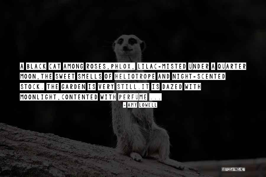 Ballata Poezija Quotes By Amy Lowell Ballata Poezija Quotes By Amy Lowell