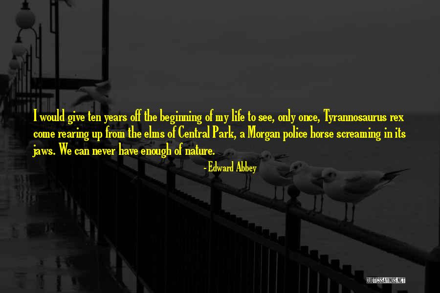 Ballet Slipper Quotes By Edward Abbey Ballet Slipper Quotes By Edward Abbey