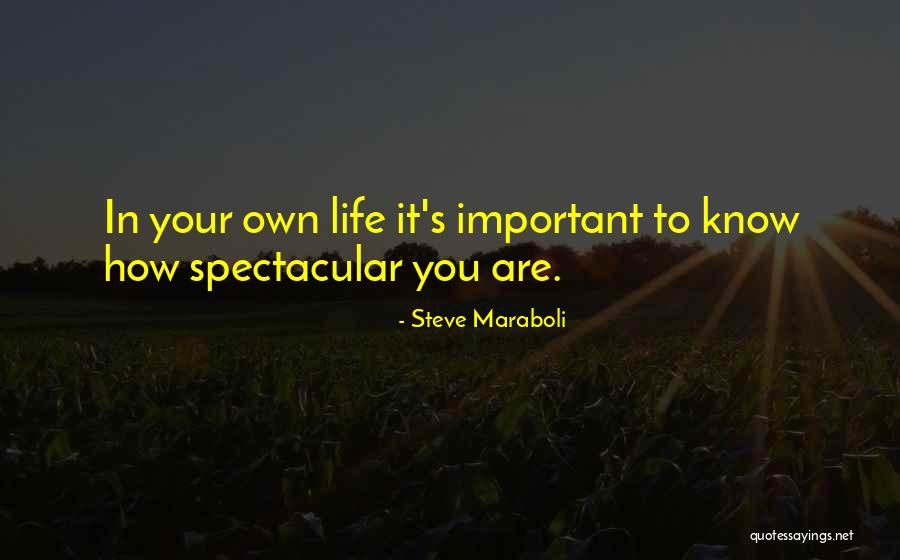 Ballia District Quotes By Steve Maraboli Ballia District Quotes By Steve Maraboli