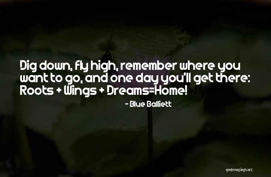 Balliett Blue Quotes By Blue Balliett Balliett Blue Quotes By Blue Balliett