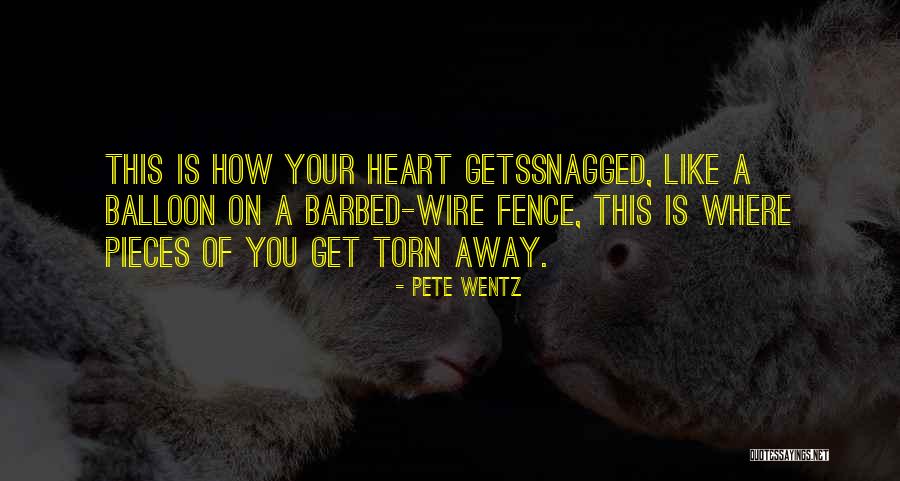 Balloon Like Quotes By Pete Wentz Balloon Like Quotes By Pete Wentz