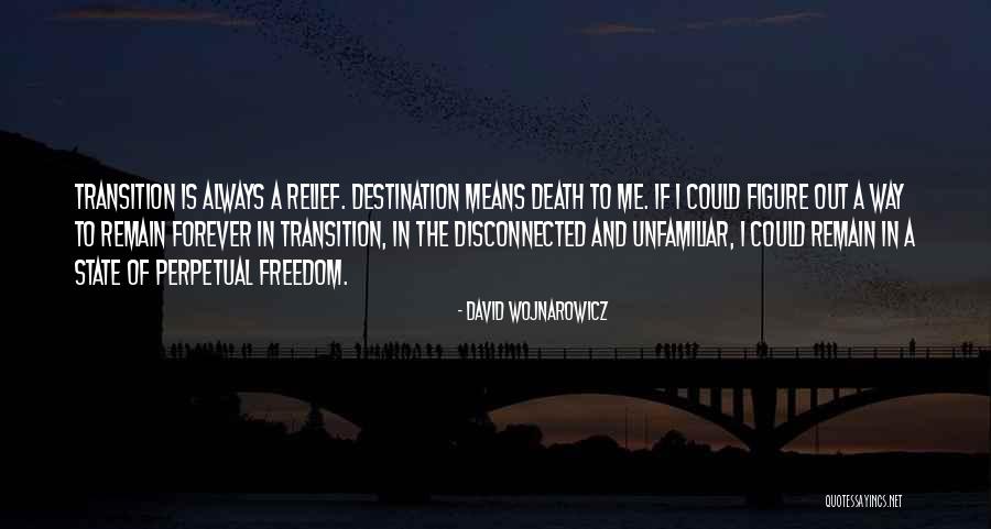 Balloon Pop Quotes By David Wojnarowicz Balloon Pop Quotes By David Wojnarowicz