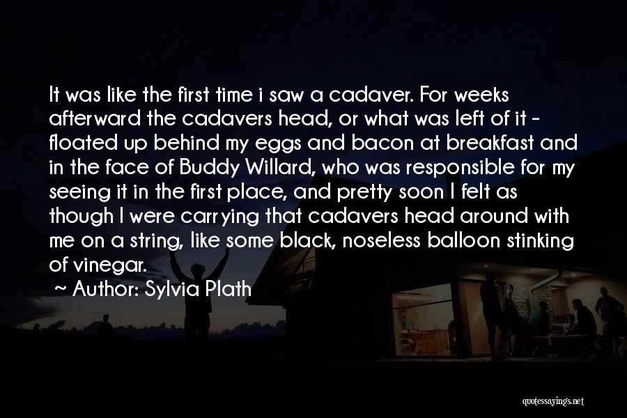 Balloon Quotes By Sylvia Plath