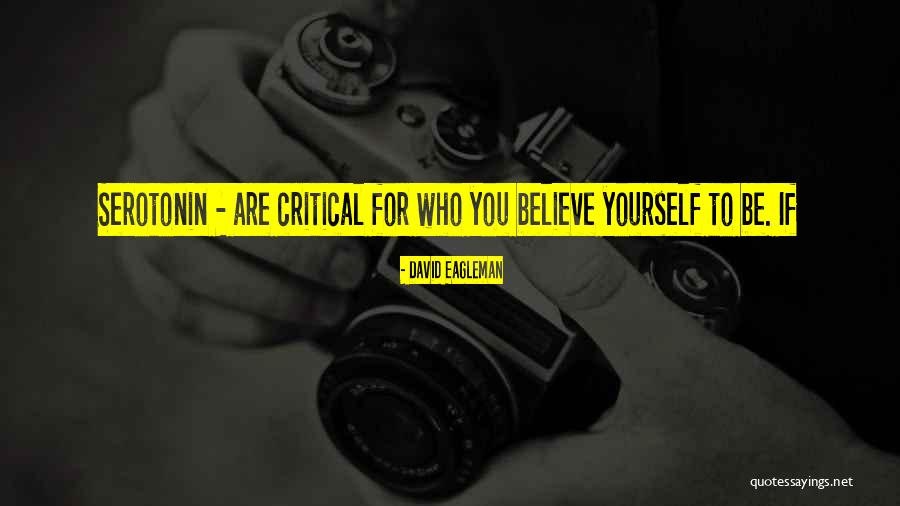 Balloonia Quotes By David Eagleman Balloonia Quotes By David Eagleman