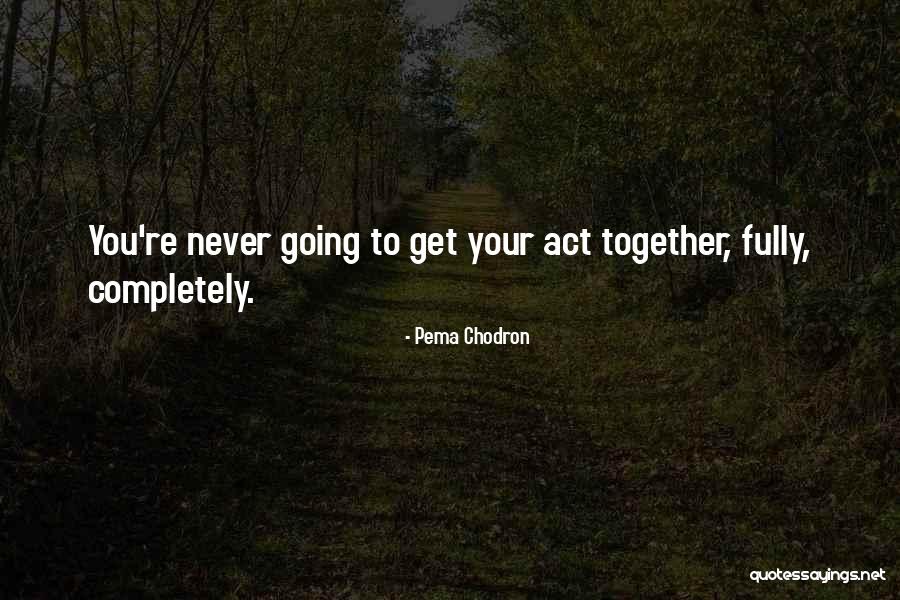 Balloonists Baskets Quotes By Pema Chodron Balloonists Baskets Quotes By Pema Chodron