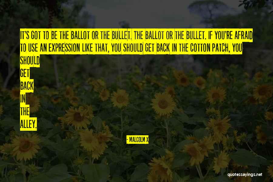 Ballot Or Bullet Quotes By Malcolm X