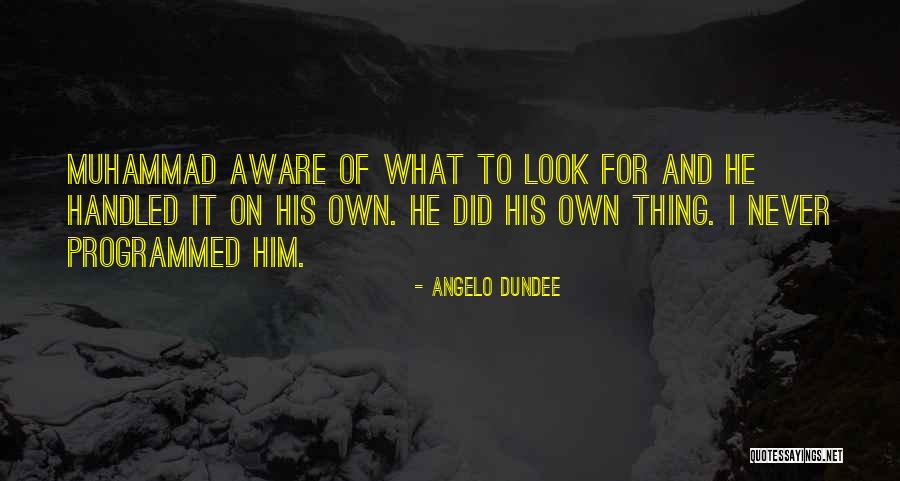 Ballplayers Balm Quotes By Angelo Dundee Ballplayers Balm Quotes By Angelo Dundee