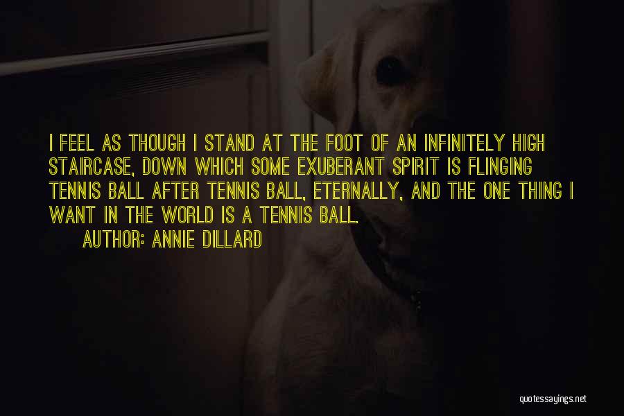 Balls Quotes By Annie Dillard