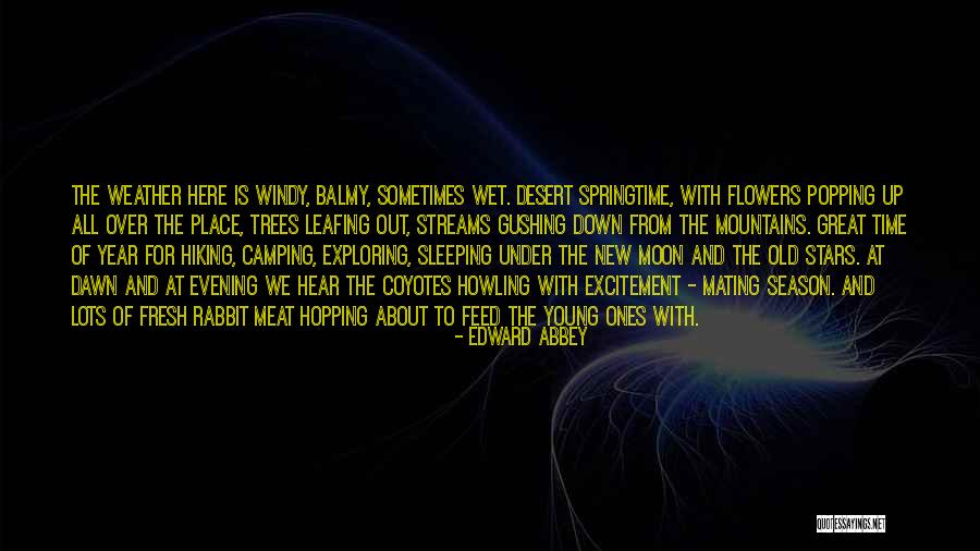 Balmy Evening Quotes By Edward Abbey Balmy Evening Quotes By Edward Abbey