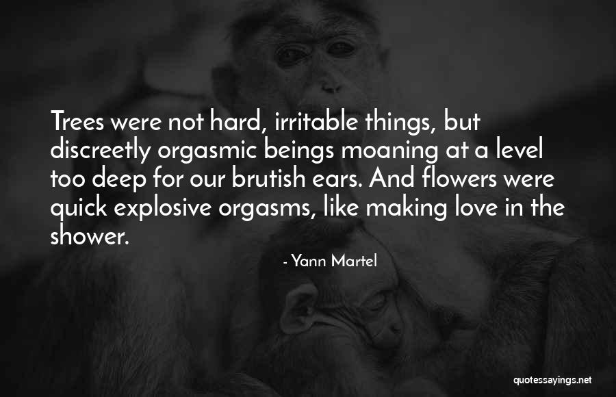 Baloanele Cu Aer Quotes By Yann Martel Baloanele Cu Aer Quotes By Yann Martel