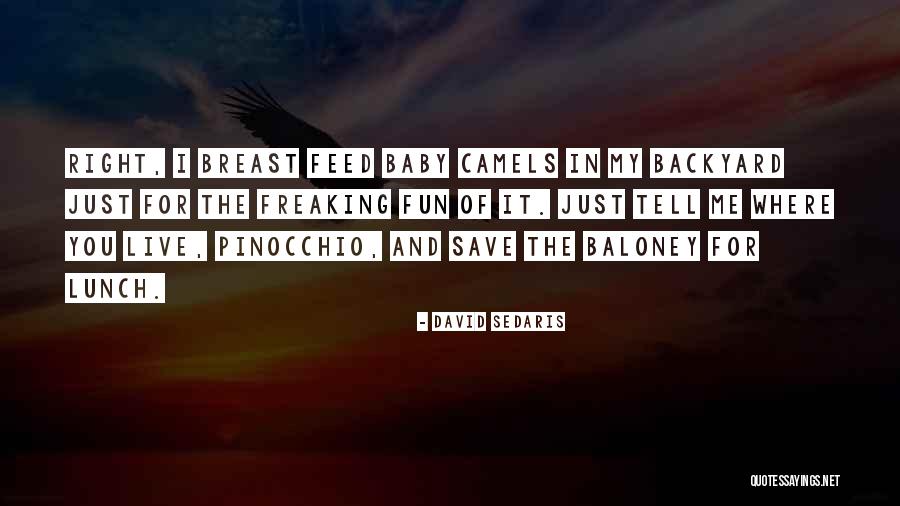 Baloney Quotes By David Sedaris Baloney Quotes By David Sedaris