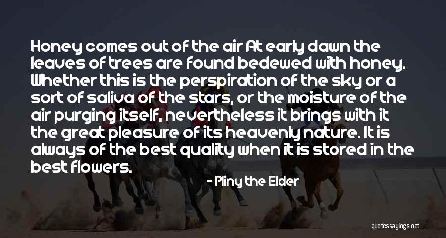 Baltaci Hotel Quotes By Pliny The Elder Baltaci Hotel Quotes By Pliny The Elder