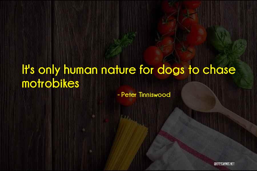 Balwyn High School Quotes By Peter Tinniswood Balwyn High School Quotes By Peter Tinniswood