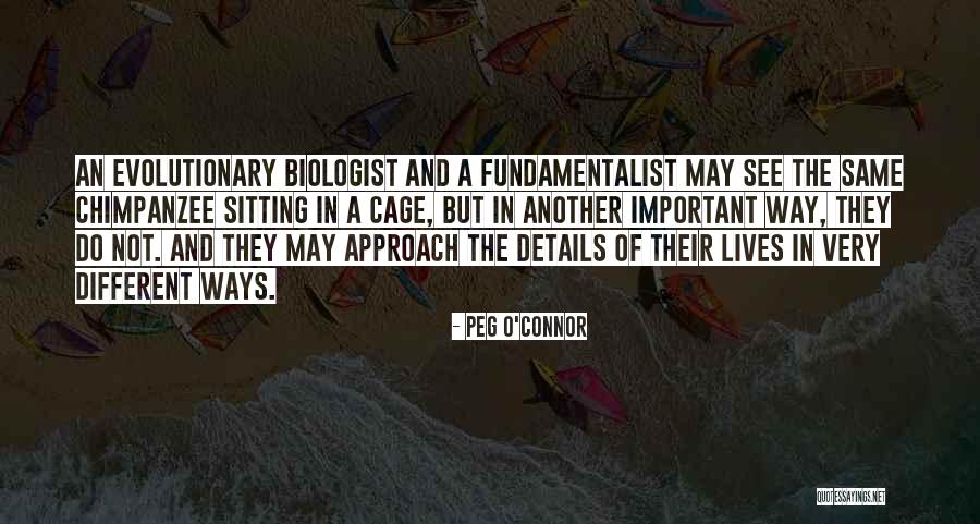 Balys Dainys Quotes By Peg O'Connor Balys Dainys Quotes By Peg O'Connor