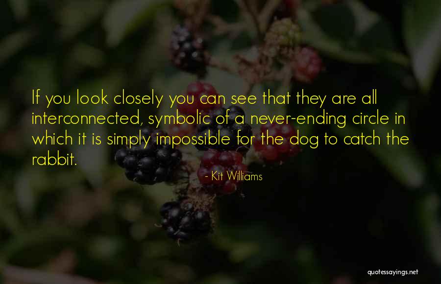 Balzena Quotes By Kit Williams Balzena Quotes By Kit Williams