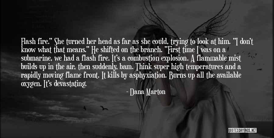 Bam Bam Quotes By Dana Marton Bam Bam Quotes By Dana Marton