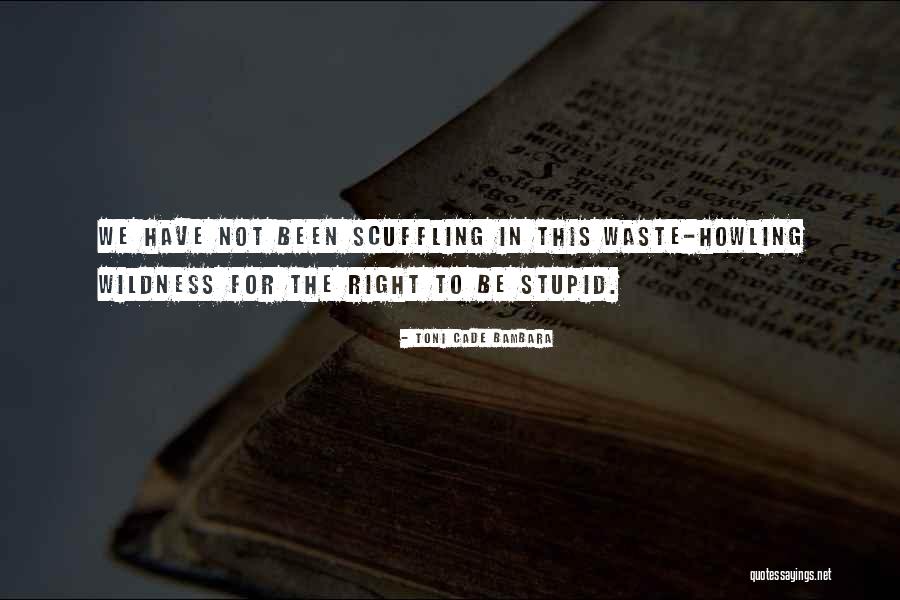 Bambara Quotes By Toni Cade Bambara Bambara Quotes By Toni Cade Bambara
