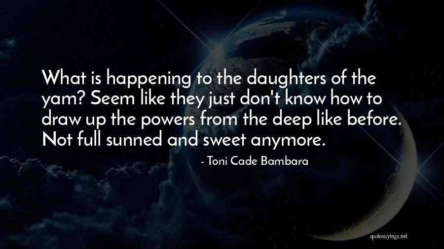 Bambara Quotes By Toni Cade Bambara Bambara Quotes By Toni Cade Bambara