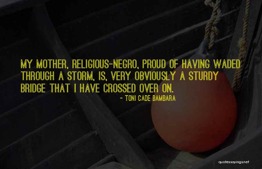 Bambara Quotes By Toni Cade Bambara Bambara Quotes By Toni Cade Bambara