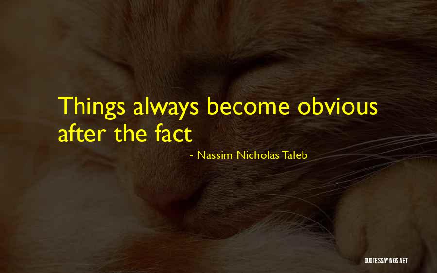 Bamberry Consulting Quotes By Nassim Nicholas Taleb Bamberry Consulting Quotes By Nassim Nicholas Taleb