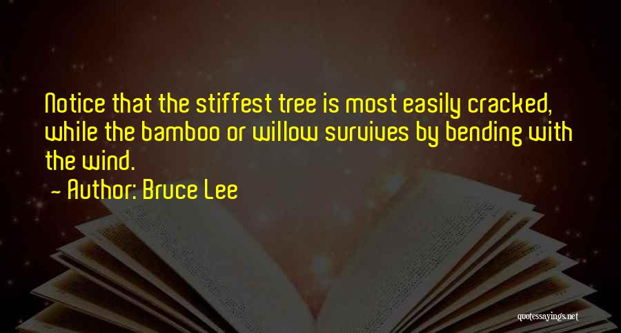 Bamboo By Bruce Lee Quotes By Bruce Lee