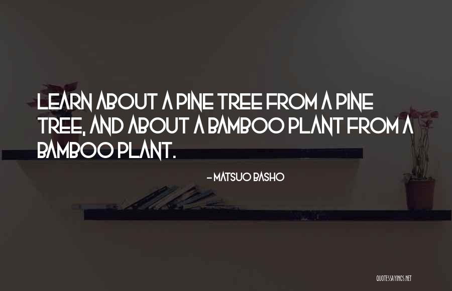 Bamboo Plant Quotes By Matsuo Basho Bamboo Plant Quotes By Matsuo Basho