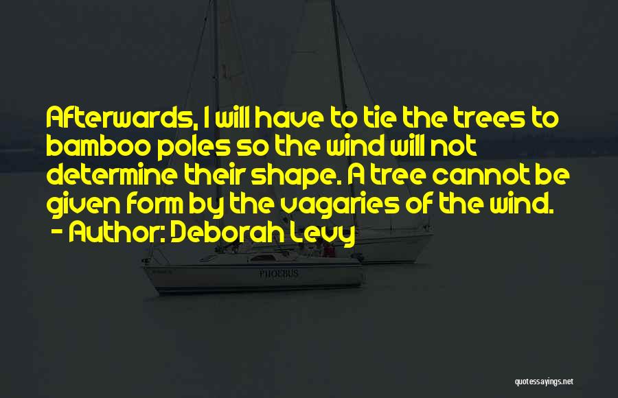 Bamboo Quotes By Deborah Levy
