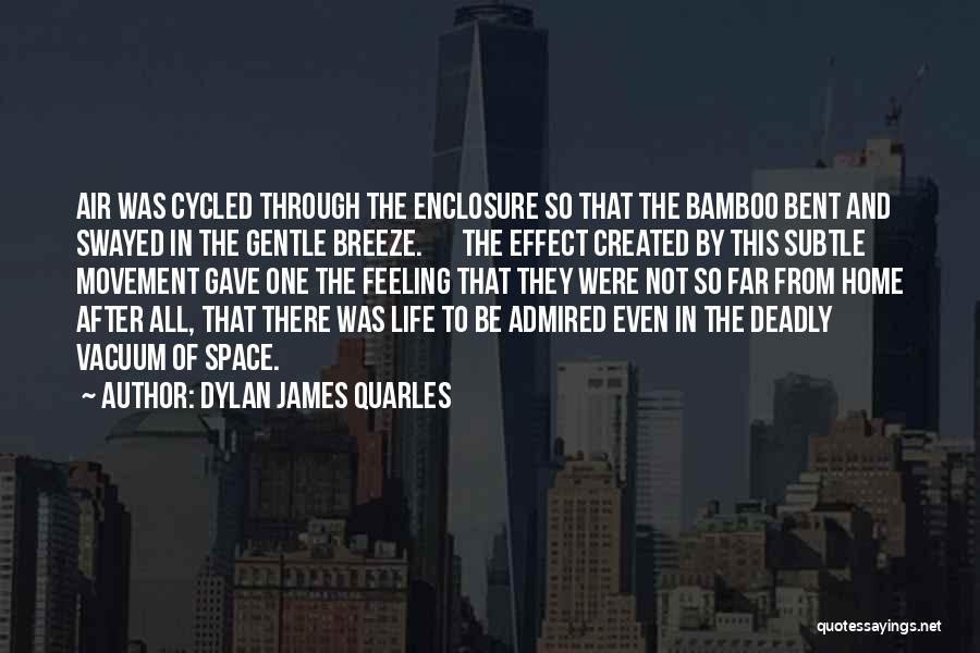 Bamboo Quotes By Dylan James Quarles