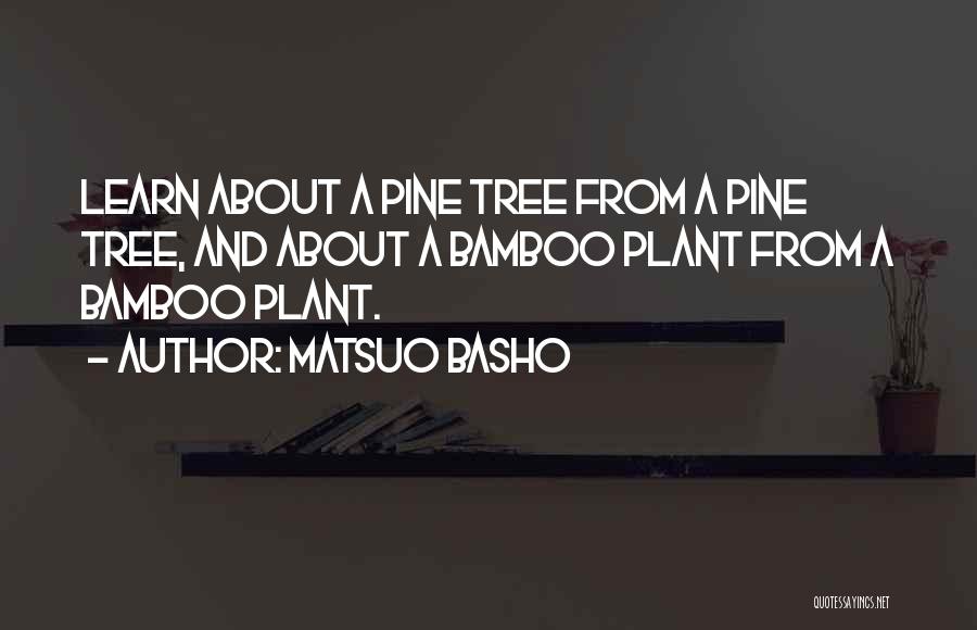 Bamboo Quotes By Matsuo Basho