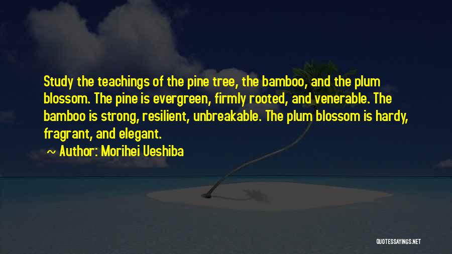 Bamboo Quotes By Morihei Ueshiba