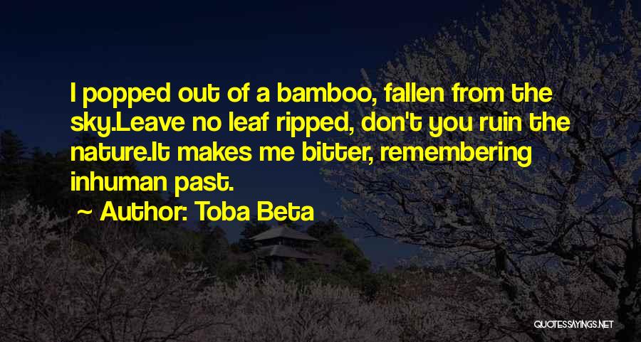 Bamboo Quotes By Toba Beta