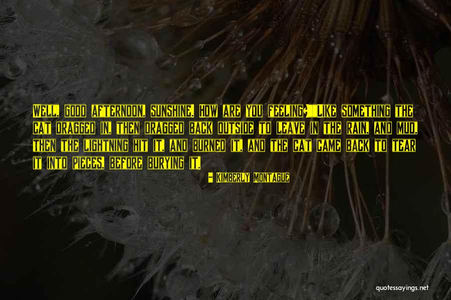 Bamgbose Et Al Quotes By Kimberly Montague Bamgbose Et Al Quotes By Kimberly Montague