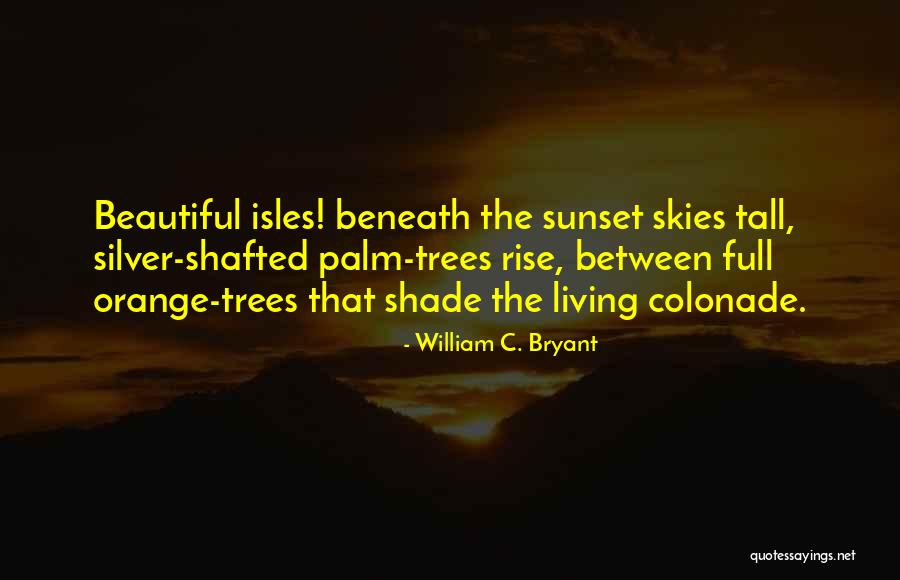 Bamgbose Ufc Quotes By William C. Bryant Bamgbose Ufc Quotes By William C. Bryant