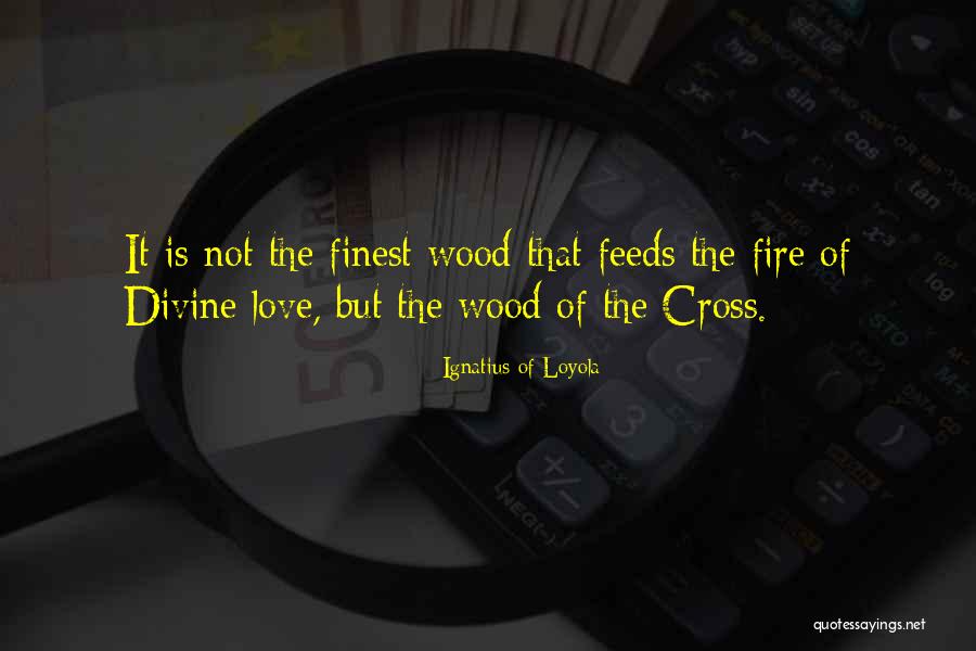 Banais Waterfall Quotes By Ignatius Of Loyola Banais Waterfall Quotes By Ignatius Of Loyola