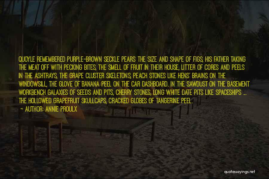 Banana Peel Quotes By Annie Proulx