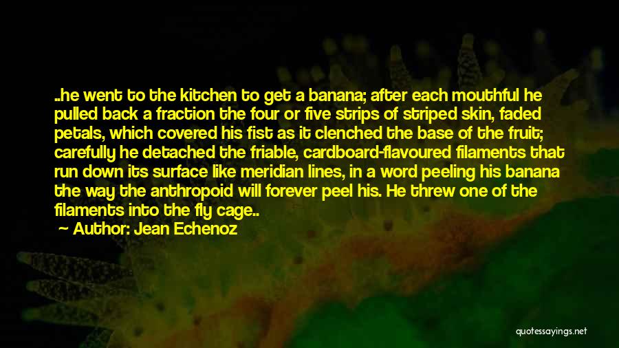 Banana Peel Quotes By Jean Echenoz