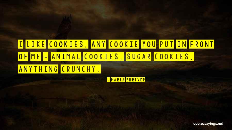 Banaszak Concrete Quotes By Maria Shriver Banaszak Concrete Quotes By Maria Shriver