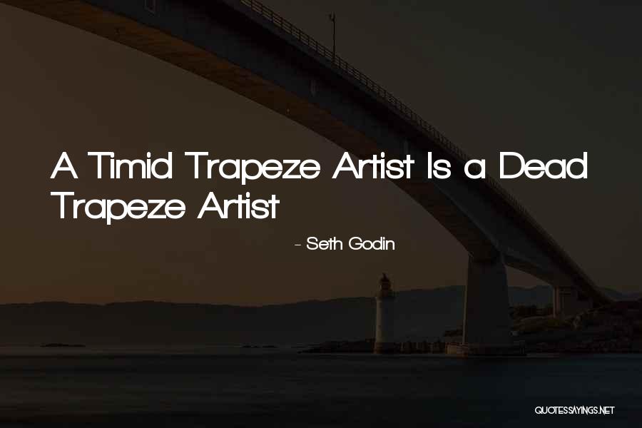 Banaye Quotes By Seth Godin Banaye Quotes By Seth Godin